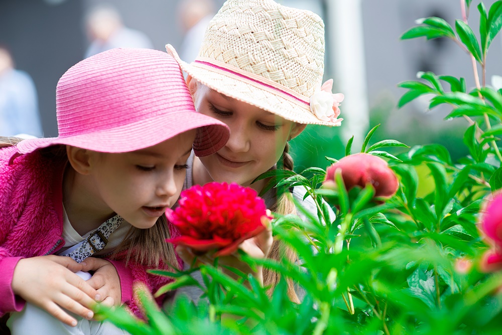 英単語”cute”を解説！「かわいい」以外にも意味、知っていますか？